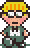 m013.gif